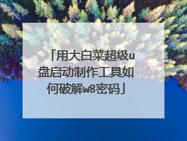 用大白菜超级u盘启动制作工具如何破解w8密码