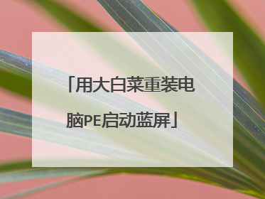 用大白菜重装电脑PE启动蓝屏