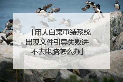 用大白菜重装系统出现文件引导失败进不去电脑怎么办