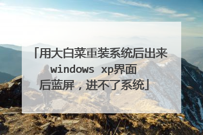 用大白菜重装系统后出来windows xp界面后蓝屏，进不了系统
