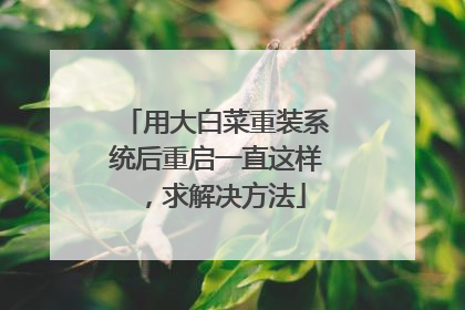 用大白菜重装系统后重启一直这样，求解决方法