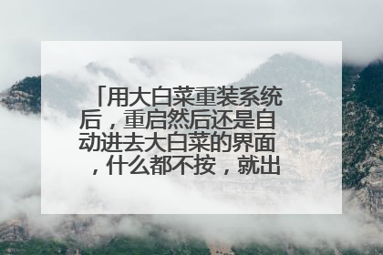 用大白菜重装系统后,重启然后还是自动进去大白菜的界面,什么都不按,就出现这个界面了