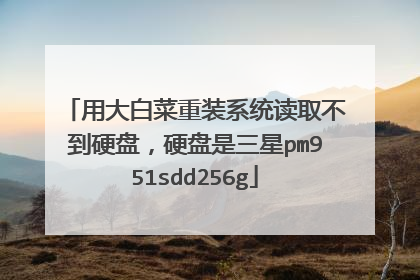 用大白菜重装系统读取不到硬盘，硬盘是三星pm951sdd256g