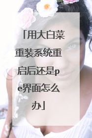用大白菜重装系统重启后还是pe界面怎么办