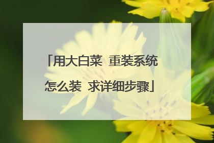 用大白菜 重装系统 怎么装 求详细步骤