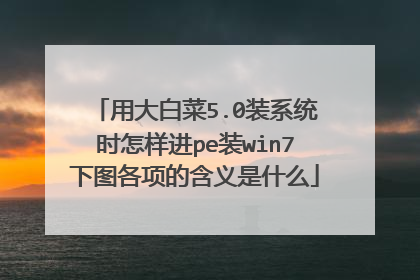 用大白菜5.0装系统时怎样进pe装win7下图各项的含义是什么
