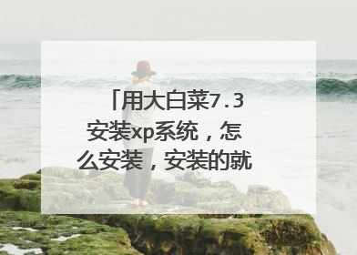 用大白菜7.3安装xp系统,怎么安装,安装的就出现这个了?
