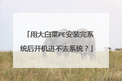 用大白菜PE安装完系统后开机进不去系统？