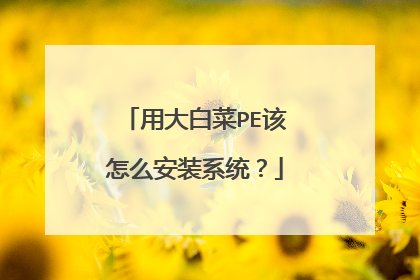 用大白菜PE该怎么安装系统？