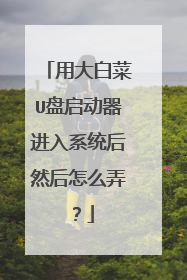 用大白菜U盘启动器进入系统后然后怎么弄?