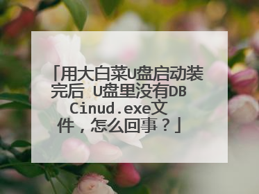 用大白菜U盘启动装完后 U盘里没有DBCinud.exe文件,怎么回事?