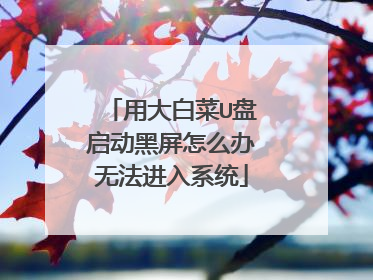 用大白菜U盘启动黑屏怎么办无法进入系统