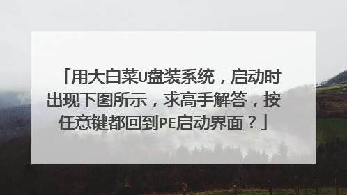 用大白菜U盘装系统,启动时出现下图所示,求高手解答,按任意键都回到PE启动界面?