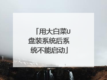 用大白菜U盘装系统后系统不能启动