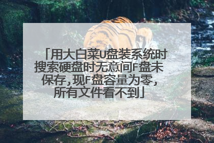 用大白菜U盘装系统时搜索硬盘时无意间F盘未保存,现F盘容量为零,所有文件看不到