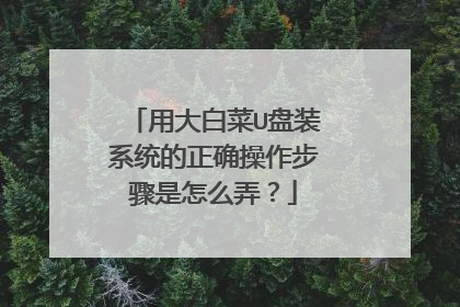 用大白菜U盘装系统的正确操作步骤是怎么弄?