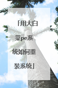 用大白菜pe系统如何重装系统
