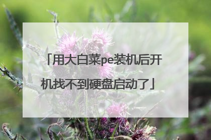 用大白菜pe装机后开机找不到硬盘启动了