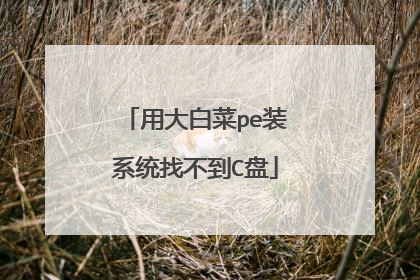 用大白菜pe装系统找不到C盘