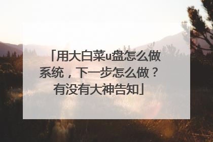 用大白菜u盘怎么做系统，下一步怎么做？有没有大神告知