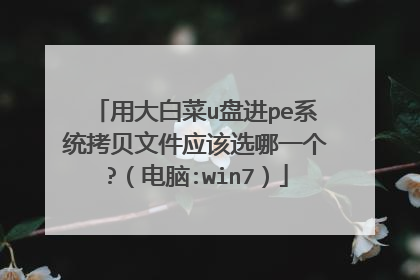 用大白菜u盘进pe系统拷贝文件应该选哪一个?（电脑:win7）