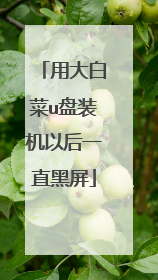 用大白菜u盘装机以后一直黑屏