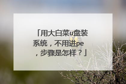 用大白菜u盘装系统,不用进pe,步骤是怎样?
