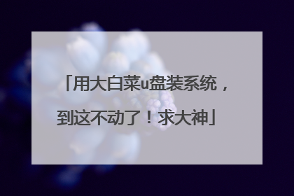 用大白菜u盘装系统，到这不动了！求大神