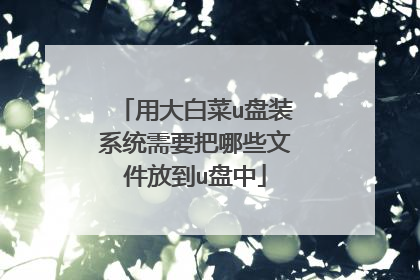 用大白菜u盘装系统需要把哪些文件放到u盘中