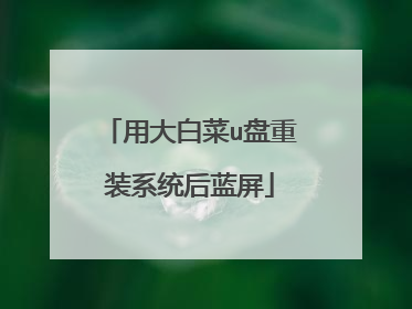 用大白菜u盘重装系统后蓝屏