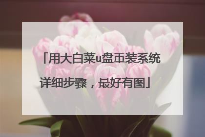 用大白菜u盘重装系统详细步骤,最好有图