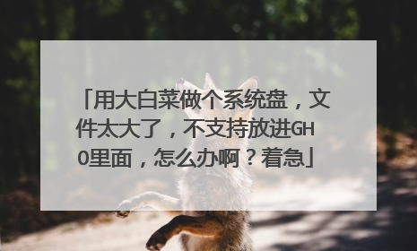 用大白菜做个系统盘,文件太大了,不支持放进GHO里面,怎么办啊?着急