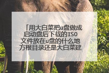 用大白菜把u盘做成启动盘后下载的ISO文件放在u盘的什么地方根目录还是大白菜建的一个文件夹