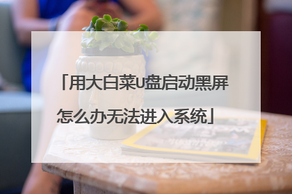 用大白菜U盘启动黑屏怎么办无法进入系统