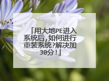 用大地PE进入系统后,如何进行重装系统?解决加30分!