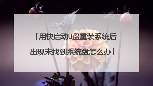用快启动U盘重装系统后出现未找到系统盘怎么办