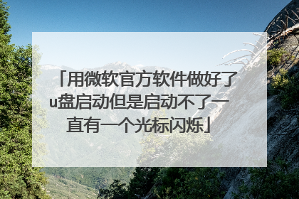 用微软官方软件做好了u盘启动但是启动不了一直有一个光标闪烁