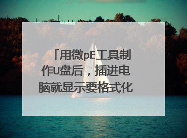 用微pE工具制作U盘后,插进电脑就显示要格式化而且还格式化不了!也进不去U盘怎么回事?