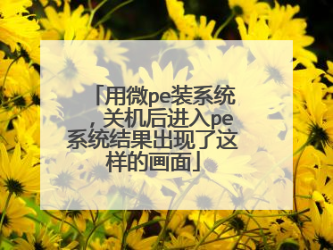 用微pe装系统，关机后进入pe系统结果出现了这样的画面