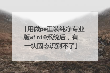 用微pe重装纯净专业版win10系统后，有一块固态识别不了