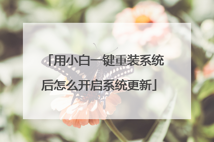 用小白一键重装系统后怎么开启系统更新