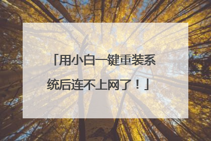 用小白一键重装系统后连不上网了！