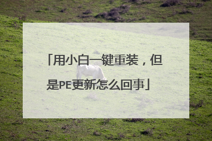 用小白一键重装，但是PE更新怎么回事