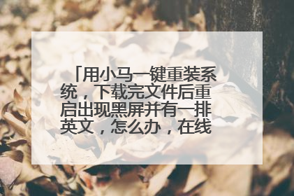 用小马一键重装系统,下载完文件后重启出现黑屏并有一排英文,怎么办,在线等,挺急的!!