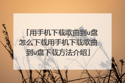 用手机下载歌曲到u盘怎么下载用手机下载歌曲到u盘下载方法介绍