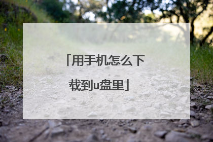 用手机怎么下载到u盘里