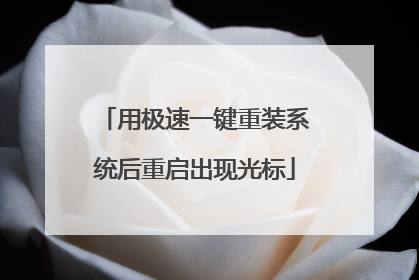 用极速一键重装系统后重启出现光标