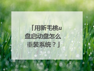 用新毛桃u盘启动盘怎么重装系统?