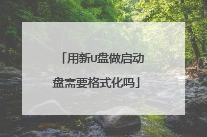 用新U盘做启动盘需要格式化吗