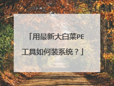 用最新大白菜PE工具如何装系统?